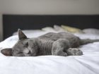 De ce ai nevoie de o rutină de relaxare seara