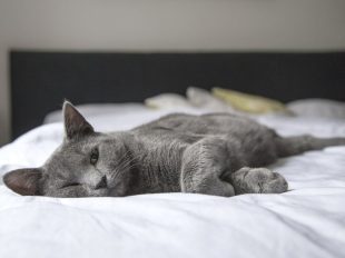 De ce ai nevoie de o rutină de relaxare seara
