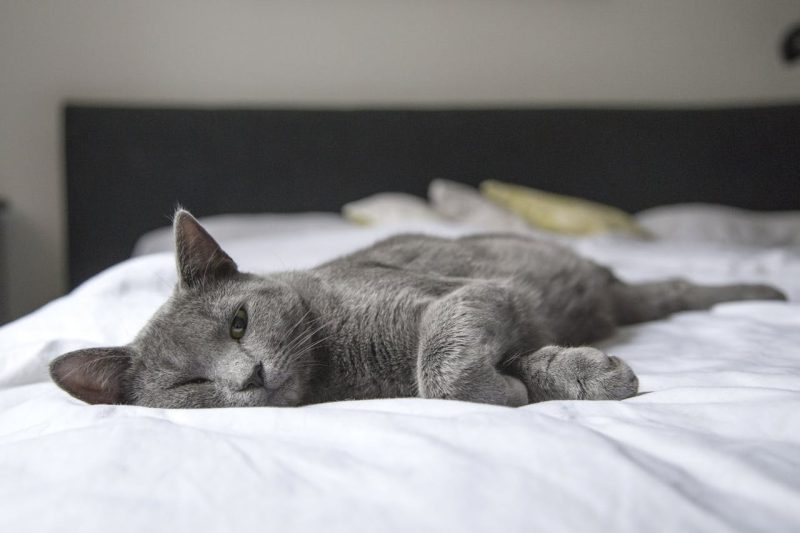 De ce ai nevoie de o rutină de relaxare seara